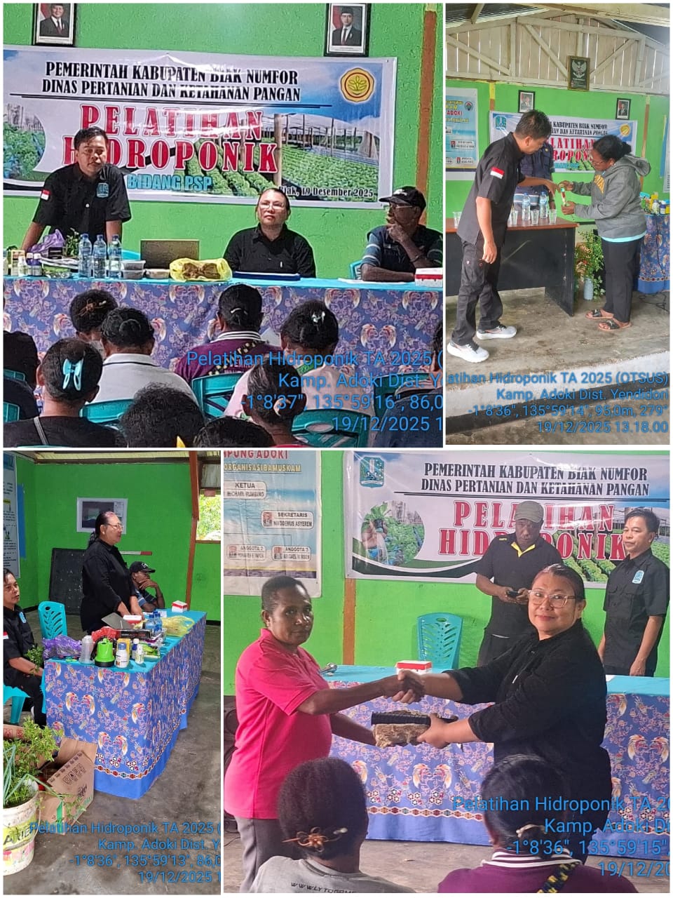 Kegiatan Pelatihan Hidropopnik di Kampung Adoki