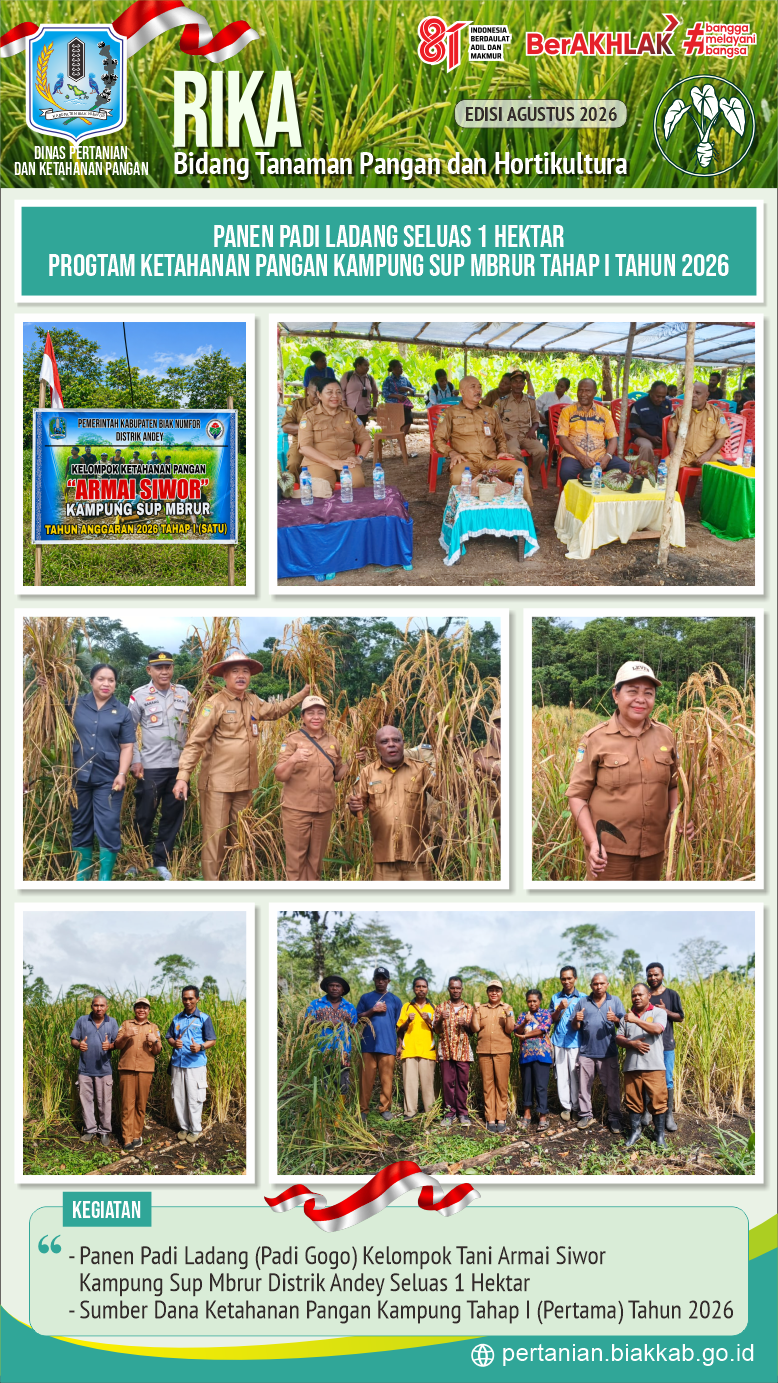 PANEN PADI LADANG SELUAS 1 HEKTAR PROGRAM KETAHANAN PANGAN KAMPUNG SUP MBRUR TAHAP 1 2026