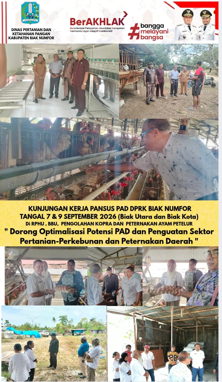 KUNKER PANSUS PAD DPRK BIAK NUMFOR