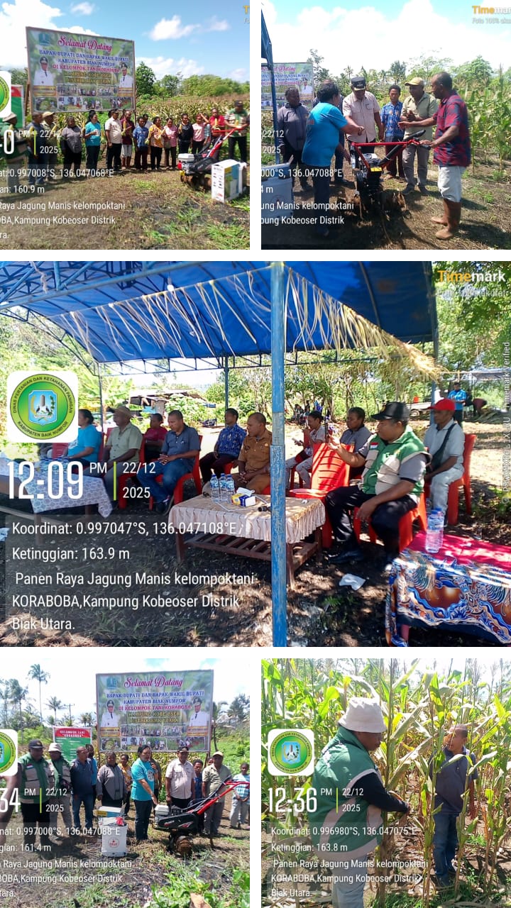 Panen Jagung dan Penyerahan Batuan Alsintan